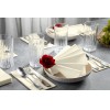 Eco-friendly white paper napkins for cafés and restaurants