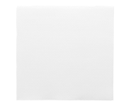 Napkins 39x39 cm "DP", white