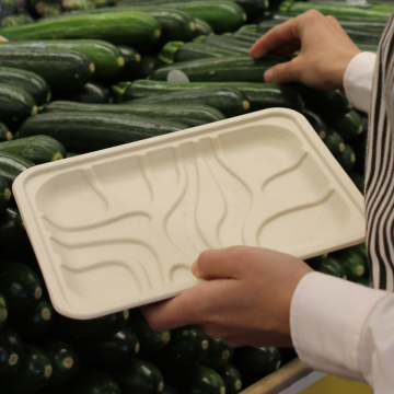 unbleached plant fiber trays with a plant based bio-lining
